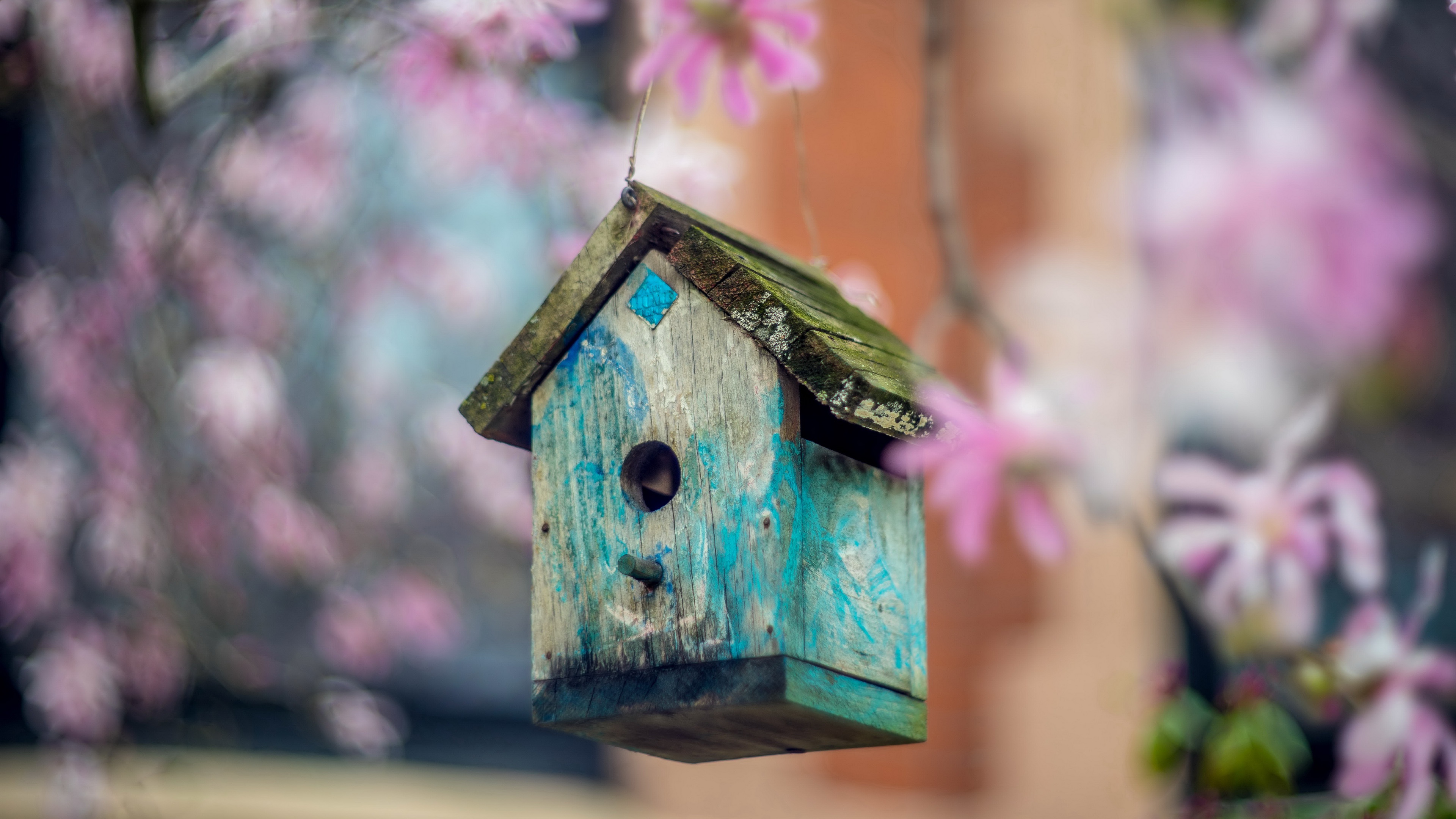 Man Made Bird House HD Wallpaper | Background Image