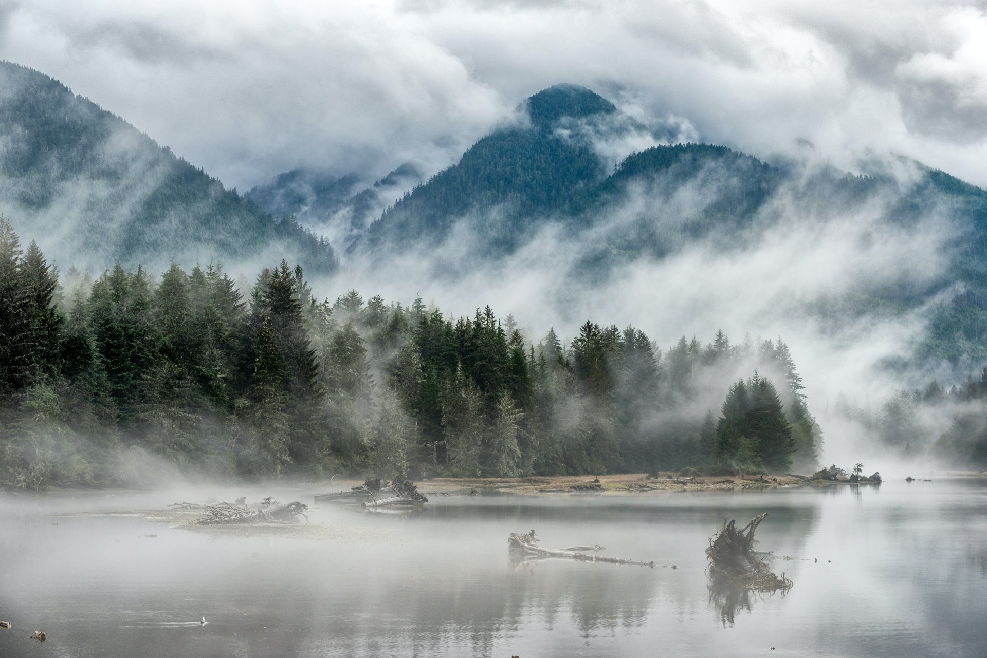 4K Ultra HD desktop wallpaper capturing a foggy mountain landscape with dense trees reflected in a calm lake, showcasing serene natural beauty.