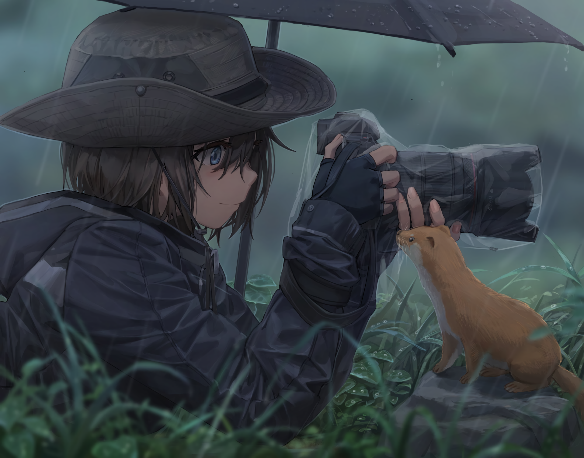 An anime character with short black hair and blue eyes, wearing a hat, leans in to photograph a marten in a rainy forest setting. The scene is rendered in HD and serves as a desktop wallpaper.