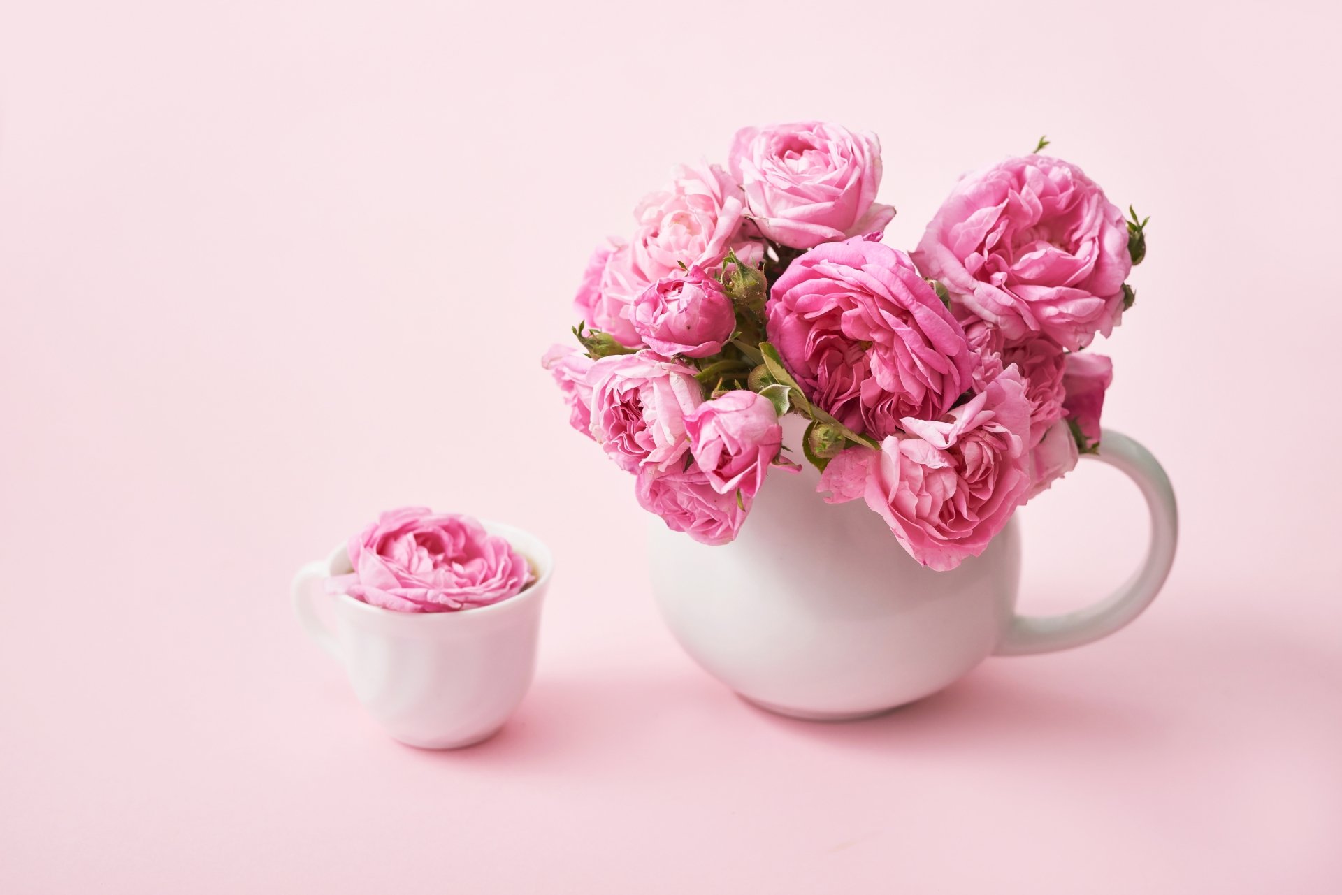 Photography Still Life 4k Ultra HD Wallpaper