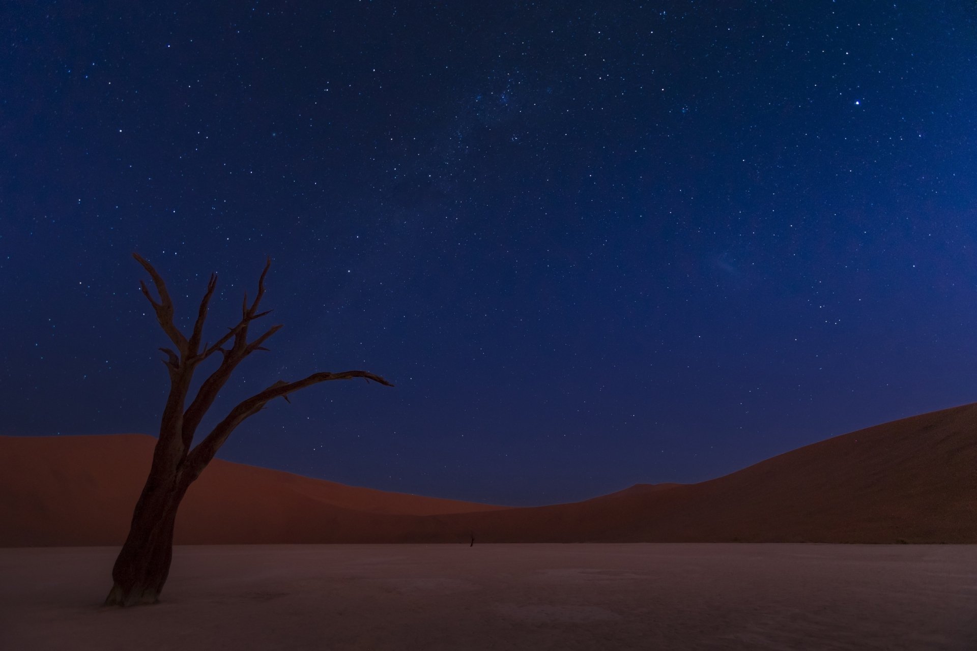 Download Night Dead Tree Namibia Sand Dune Star Sky Nature Desert HD Wallpaper
