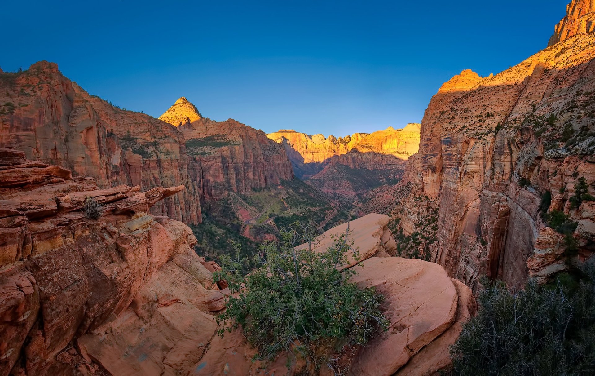 Download USA Utah Canyon Nature Zion National Park HD Wallpaper
