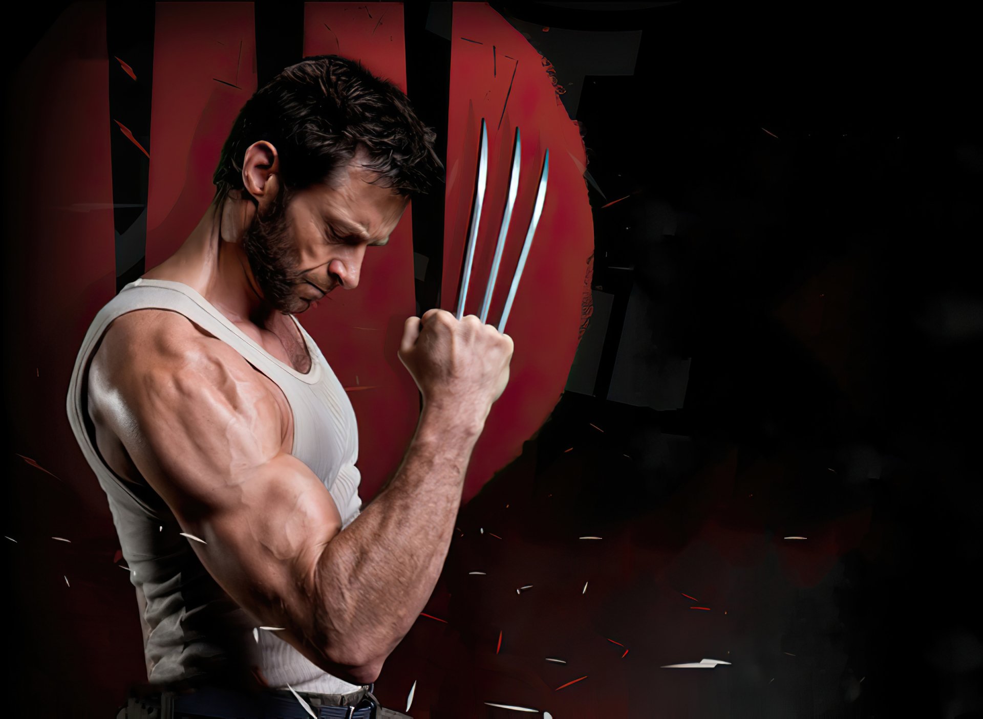 The Wolverine HD Wallpaper | Achtergrond | 2400x1756 | ID:1088562