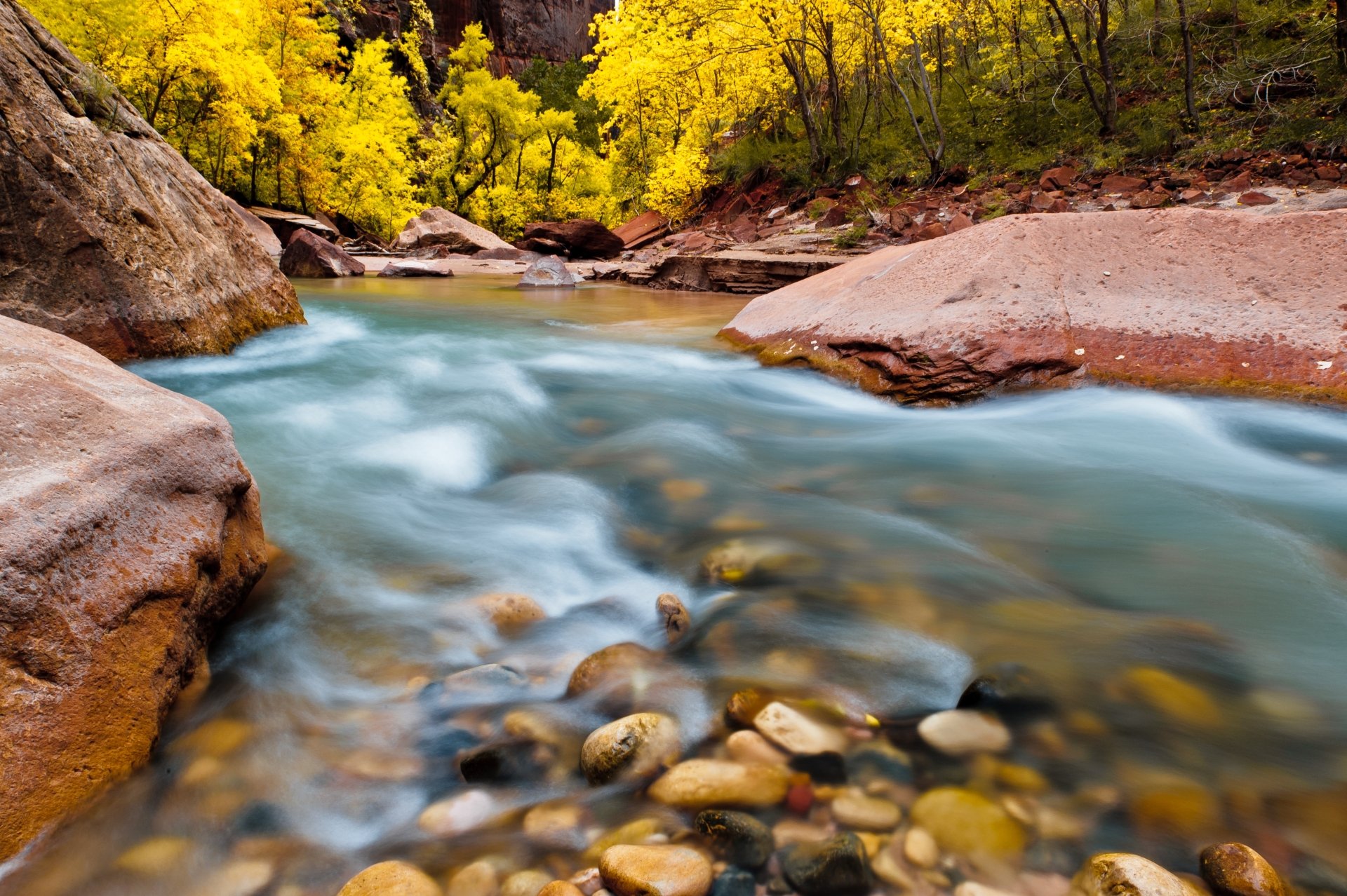 Download Stone River Nature Zion National Park 4k Ultra HD Wallpaper