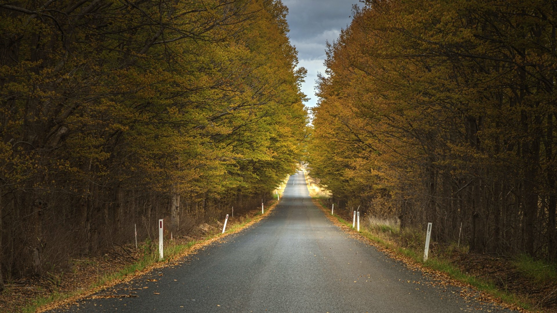 Download Forest Man Made Road 4k Ultra HD Wallpaper | 3840x2160 ...