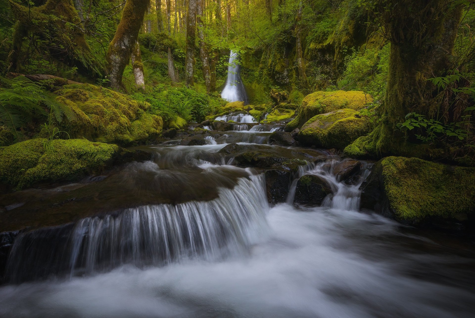 HD PC desktop wallpaper and background: lush greenery with a moss-covered stream and river flowing over rocks into a cascading waterfall in a serene forest.
