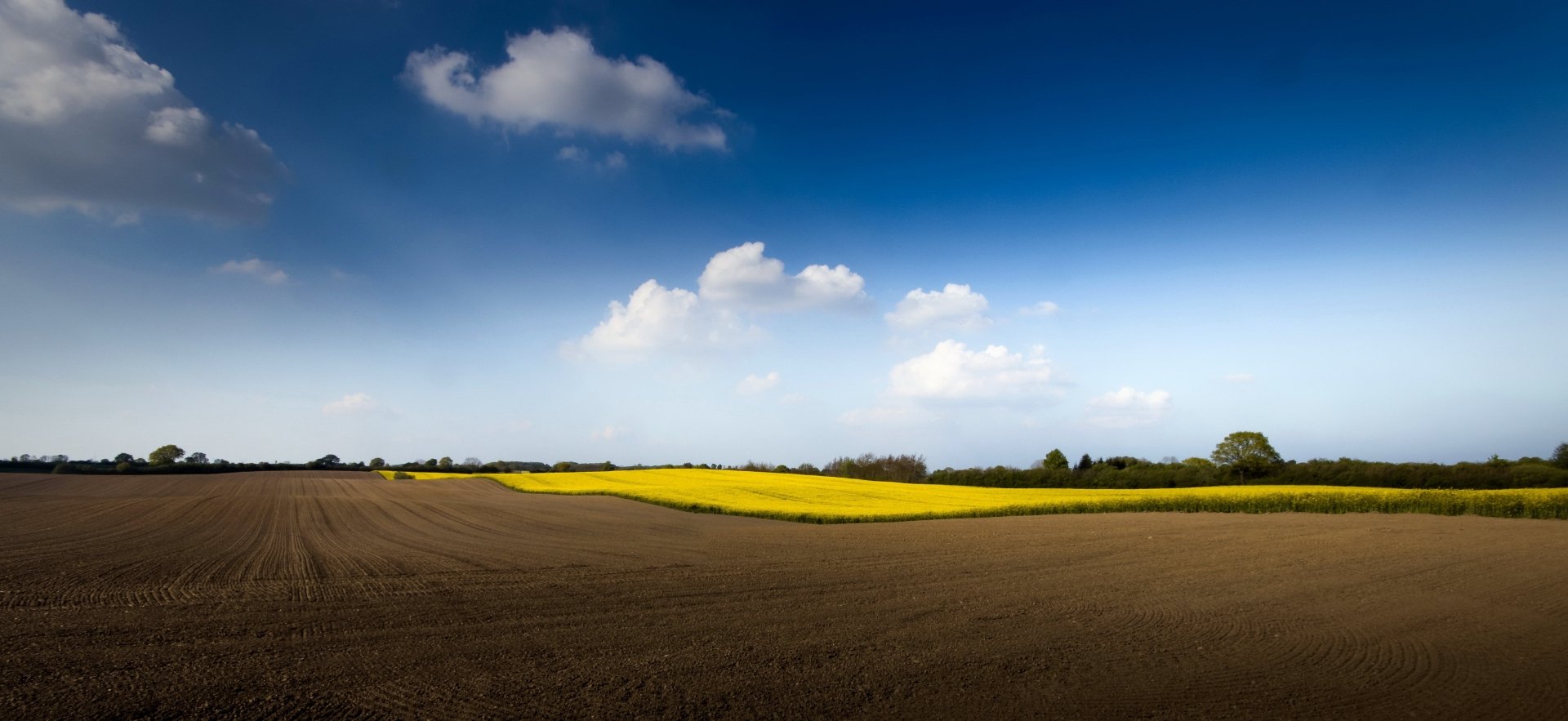 Download Cloud Sky Rapeseed Nature Field HD Wallpaper | 4110x1890 ...