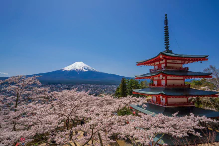 nature Mount Fuji HD Desktop Wallpaper | Background Image