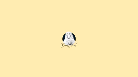  Bird Blvd - Picasso