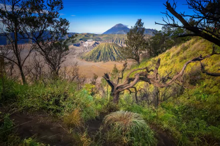  Indonesia, Mount Bromo volcano