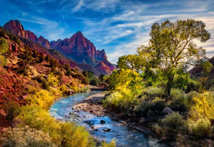 canyon river mountain landscape tree nature Zion National Park HD Desktop Wallpaper | Background Image