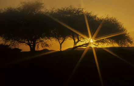  Hoggar Sunset