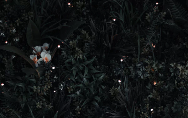 nature plant HD Desktop Wallpaper | Background Image