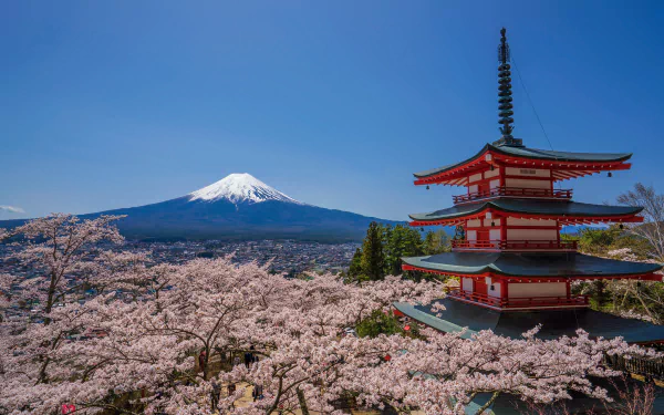 nature Mount Fuji HD Desktop Wallpaper | Background Image