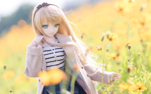 man made doll HD Desktop Wallpaper | Background Image