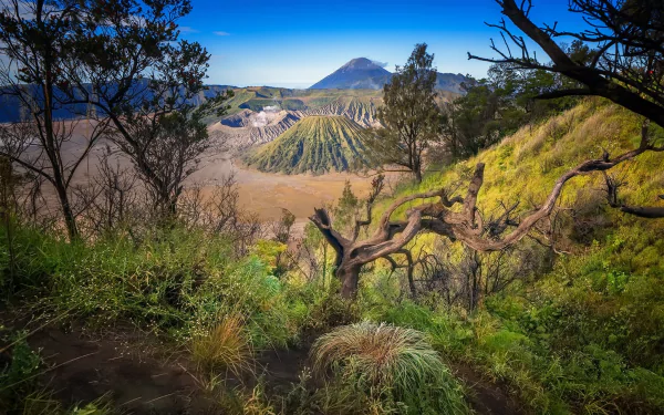 nature Mount Bromo HD Desktop Wallpaper | Background Image