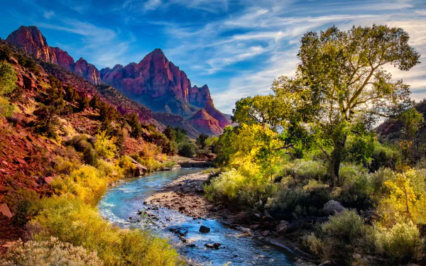 canyon river mountain landscape tree nature Zion National Park HD Desktop Wallpaper | Background Image