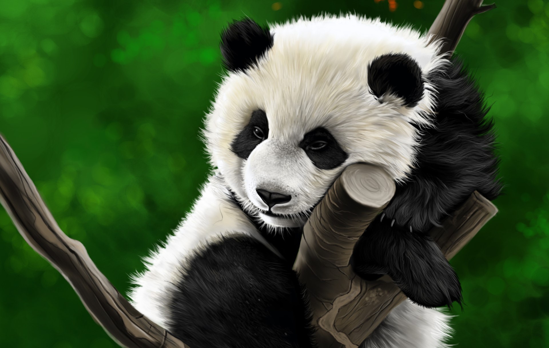 Animal Panda HD Wallpaper | Background Image