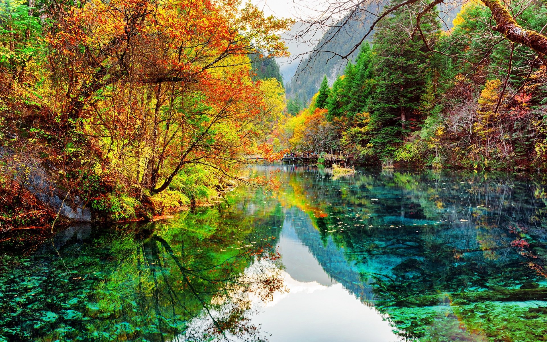 Download Reflection Forest Fall Lake China Jiuzhaigou Park Photography Landscape HD Wallpaper