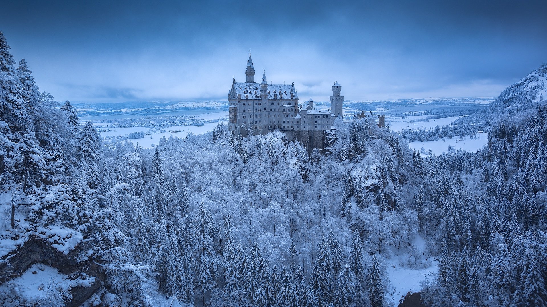 Download Forest Germany Castle Snow Winter Man Made Neuschwanstein ...