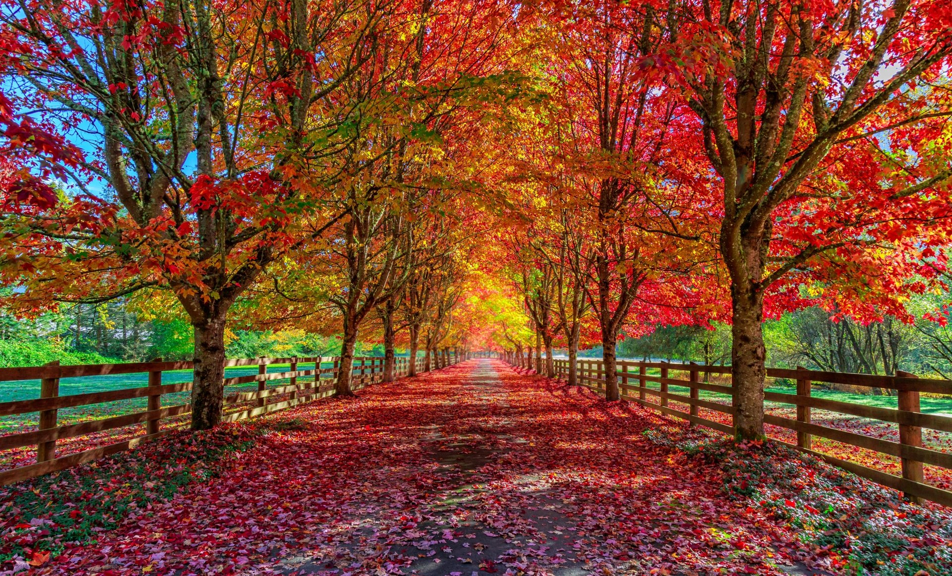 Photography Fall 4k Ultra HD Wallpaper