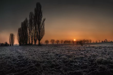 Bavarian landscape at sunrise with frost-covered ground and silhouetted trees, captured in stunning 4K Ultra HD for a serene nature desktop wallpaper.