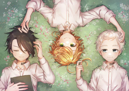 HD desktop wallpaper featuring Ray, Emma, and Norman from The Promised Neverland anime, lying on the grass, showcasing their close friendship.