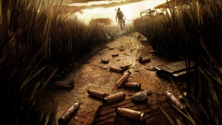  Bullet Shells Lying in The Ground......