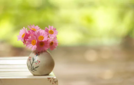 daisy vase man made flower HD Desktop Wallpaper | Background Image