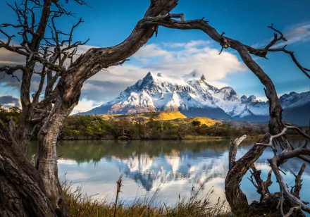 HD PC desktop wallpaper featuring a serene Patagonia mountain landscape reflected in a calm lake, framed by twisted tree branches in the foreground.