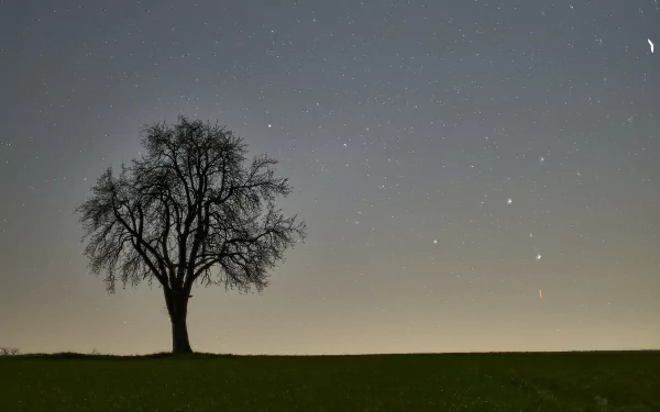 field star sky twilight nature tree HD Desktop Wallpaper | Background Image