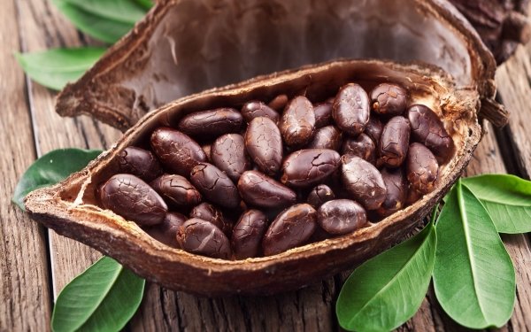 Food Cocoa Bean HD Wallpaper | Background Image