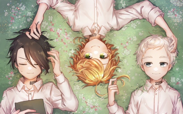 Anime The Promised Neverland Norman Emma Ray HD Wallpaper | Background Image