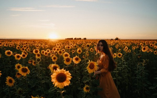 Women Mood Lisa Chelnokova Field Sunflower Sunset HD Wallpaper | Background Image