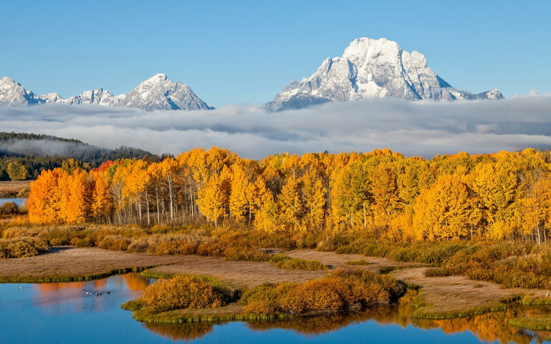 Fog drifts over a river and golden fall forest with the snow-capped mountains of Grand Teton National Park in the background, showcasing nature’s vibrant beauty.
