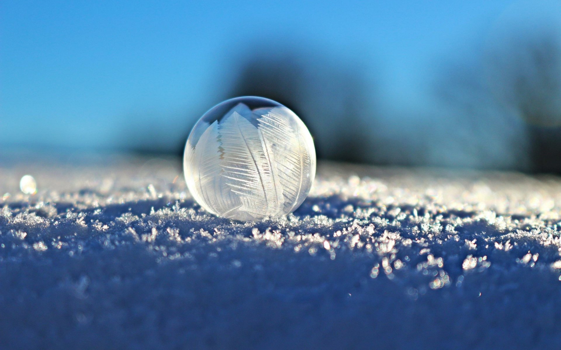 Download Ball Bubble Winter Frost Snow Photography Macro HD Wallpaper