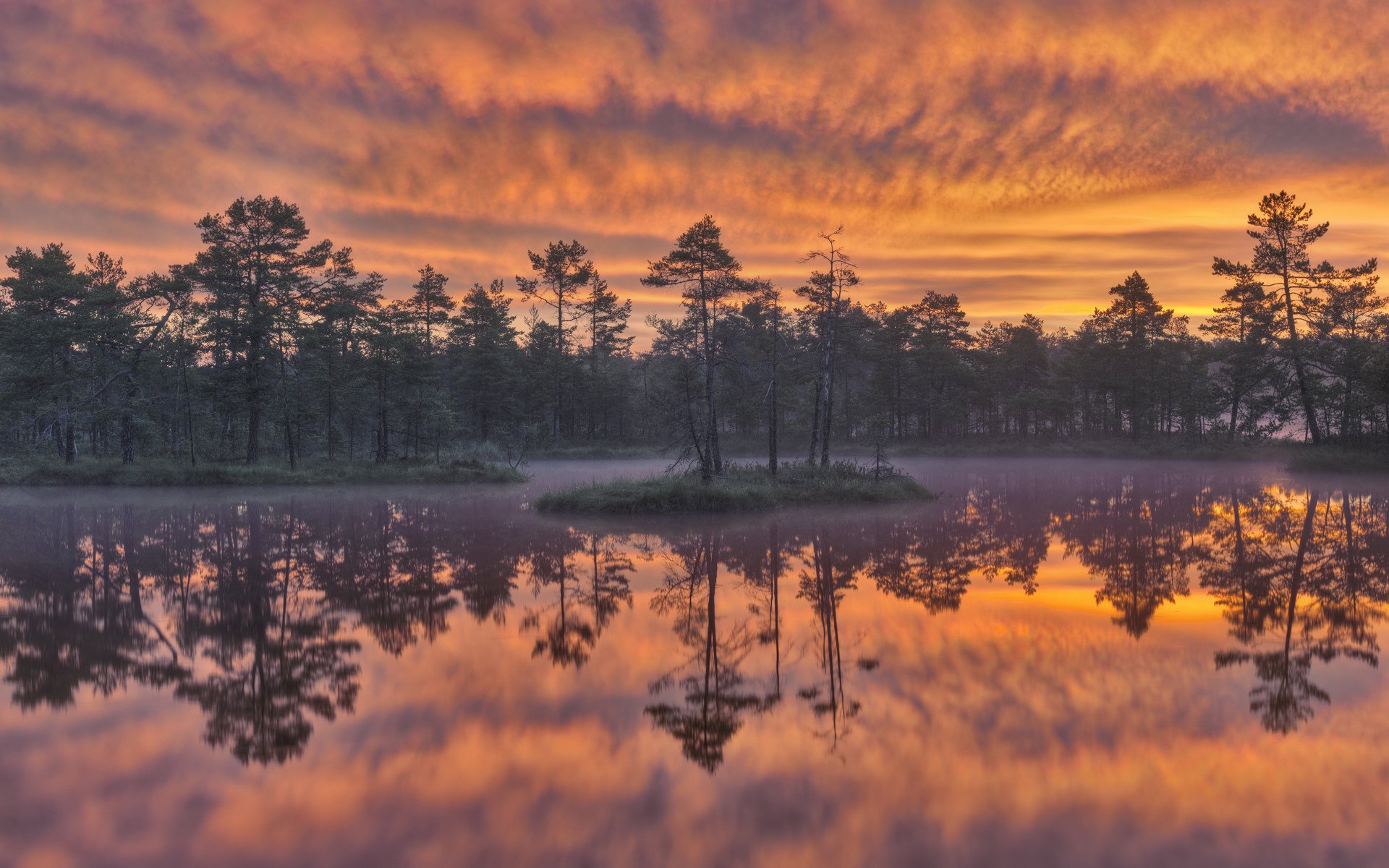 Download Sweden Reflection Lake Tree Nature Sunset HD Wallpaper