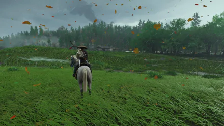  Ghost of Tsushima Jin in Grassland