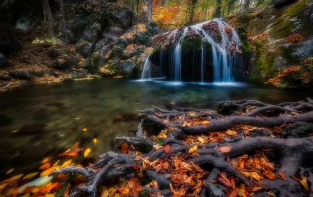 Russia river roots leaf fall nature waterfall HD Desktop Wallpaper | Background Image