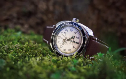 moss wristwatch man made watch HD Desktop Wallpaper | Background Image