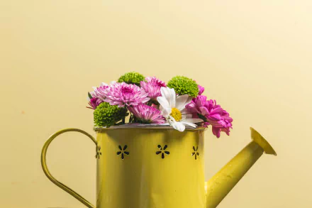 watering can man made flower HD Desktop Wallpaper | Background Image