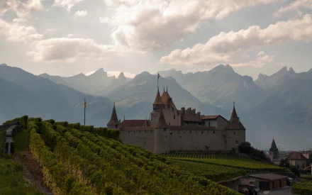 Aigle Castle vineyard alps Switzerland mountain man made castle HD Desktop Wallpaper | Background Image