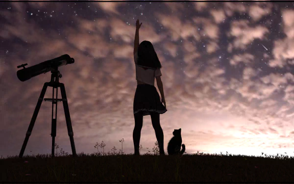 Silhouette of an anime girl and cat under a starry sky beside a telescope, captured in 8K Ultra HD for a PC desktop wallpaper.