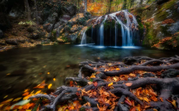 Russia river roots leaf fall nature waterfall HD Desktop Wallpaper | Background Image