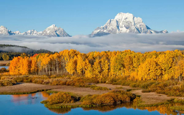 Fog drifts over a river and golden fall forest with the snow-capped mountains of Grand Teton National Park in the background, showcasing nature’s vibrant beauty.