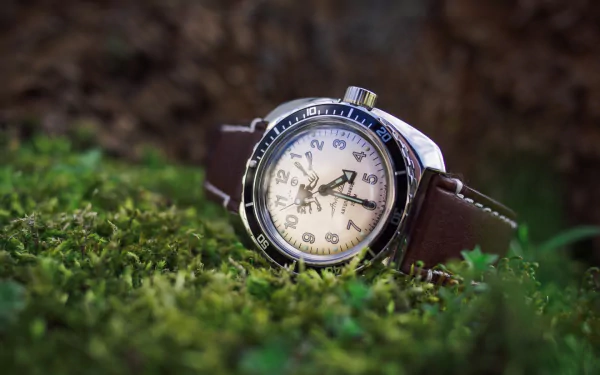moss wristwatch man made watch HD Desktop Wallpaper | Background Image