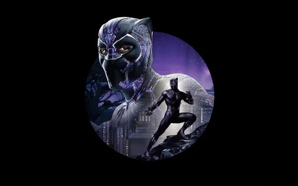 Chadwick Boseman T'Challa Black Panther (Marvel Comics) Black Panther (Movie) movie HD Desktop Wallpaper | Background Image