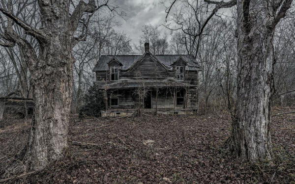 HD PC desktop wallpaper/background of an abandoned man-made house ruin, dilapidated and overgrown, framed by bare trees beneath a brooding gray sky.