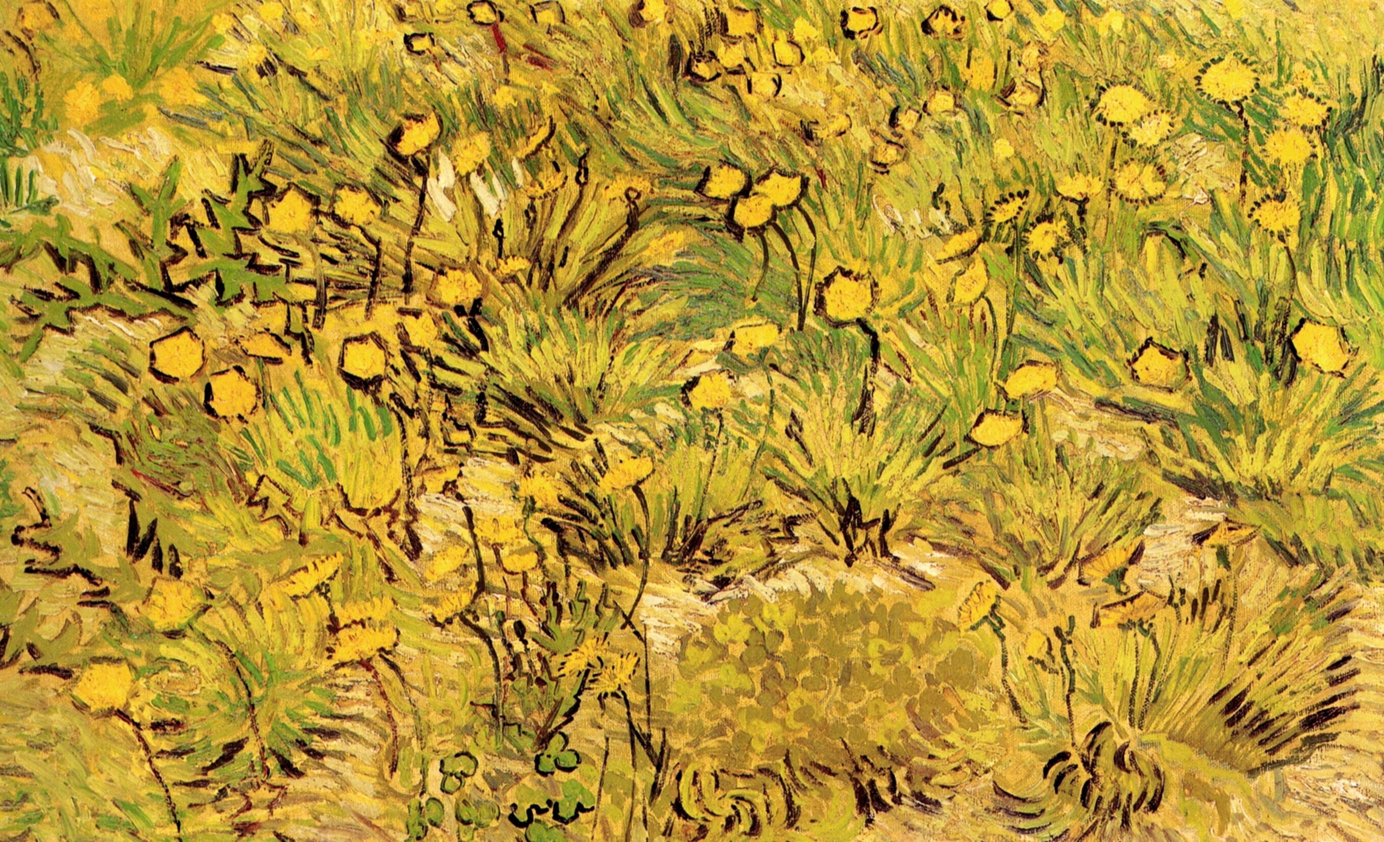 A Field of Yellow Flowers by Vincent Van Gogh