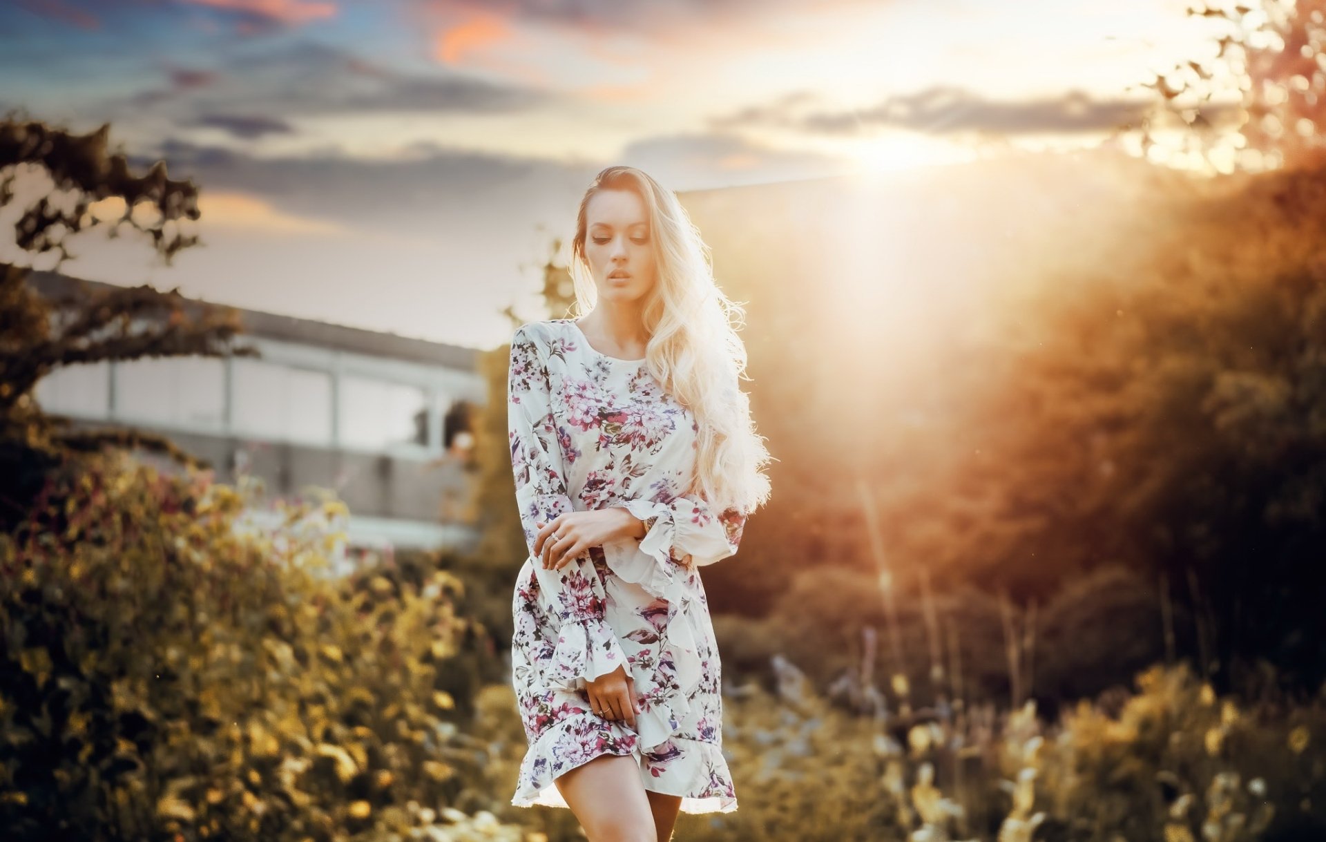 Download Dress Depth Of Field Long Hair Blonde Woman Model HD Wallpaper by Olya Alessandra